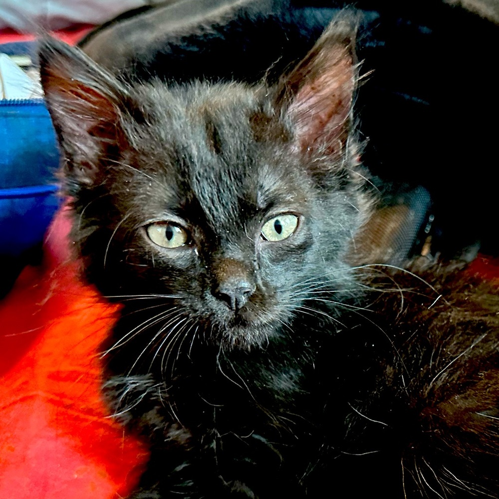 I'm Bek! - Picture 1 of 1